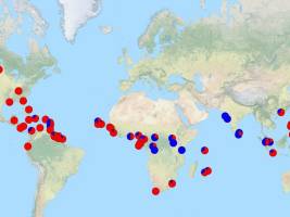Grammatik als Fenster in die Vergangenheit