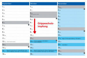 Grippeschutzimpfung 2020