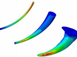 Guter Biss, ein Spinnenleben lang