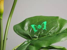 Hauchdünne Displays selbst gemacht