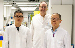 Immunzellen erinnern sich an ihren Aufenthaltsort