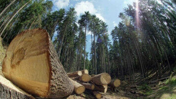 In der Champions-League der KI