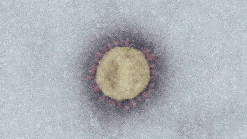 InfectControl b�ndelt Kompetenzen zur Bew�ltigung der Corona-Krise