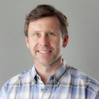 Infektionen und Krebs: Welche Rolle spielen spezielle wei�e Blutk�rperchen?