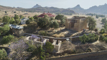 Innovative Nanomaterialien verpacken heilsame Pflanzenextrakte