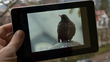 Internationalen Studierenden den Start erleichtern