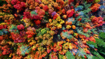 Je näher die Freunde, desto stärker die regionale Identität