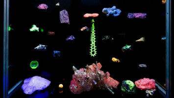 Jena is celebrating 225 years of UV radiation