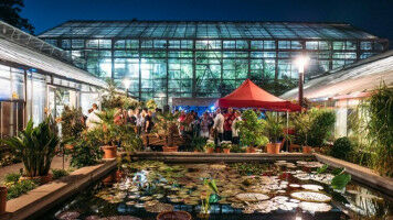 Jetzt noch Karten für das Sommerfest ergattern