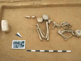 Jungsteinzeitliche Wanderungsbewegungen beeinflussen indoeuropäische Sprachen