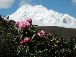Kawa Karpo - Heiliger Berg in Osttibet