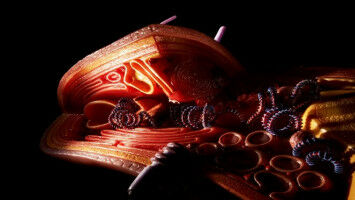 Kleine Zelle riesengro�