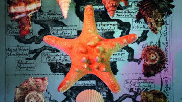 Konfliktforschung im globalen Maßstab