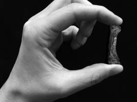 Kräftige Hände zum Zupacken