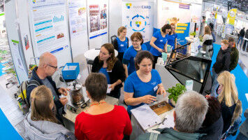 Künstliche Intelligenz für personalisierte Krebstherapie