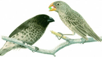 Kulturaustausch in der Antike