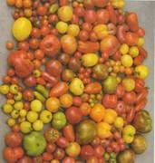 Foto: J�rgen Schubert