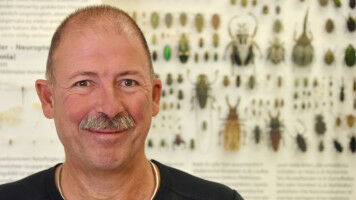 Macht Fernsehen dumm?