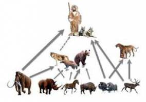 Mammut f�r die Menschen, Rentier f�r die Hunde: Wie die Nahrungsmittel vor 30.000 Jahren verteilt wurden