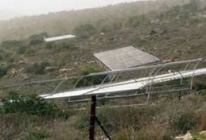 Manche m�gen's hei�? Wie der Mensch den Pflanzen einheizt