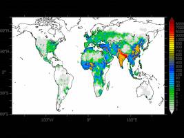 Mehr Tote durch Luftverschmutzung