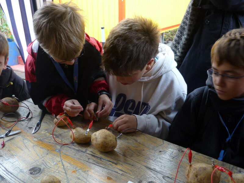 Die FU Berlin lädt Berliner Schülerinnen und Schüler wieder zu einem Mitmachprog