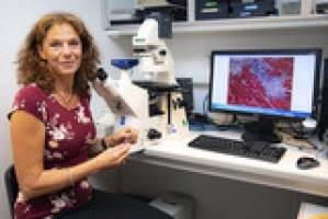 MHH-Forschungsdekanin erh�lt Nieders�chsischen Wissenschaftspreis