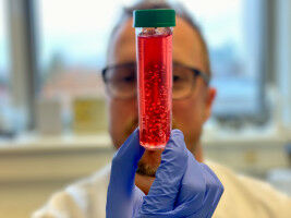 Mit Immunzellen neue Wirkstoffe entwickeln