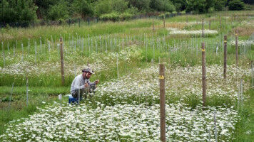 Mit Wachstumsschub in die dritte F�rderphase