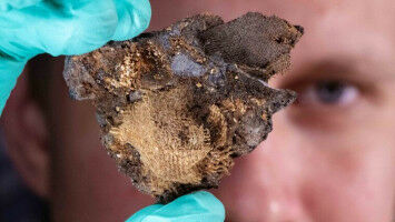 Mumien unter der Lupe