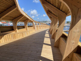 Nachhaltiges Bauen mit Holz