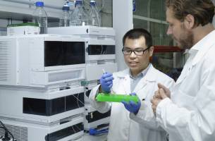 Nanowirkstoffe sollen Krebs therapieren