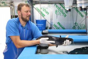 Naturnahe Stadtentwicklung für alte Industrieorte