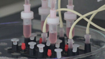 Neue Testsysteme f�r die Impfstoffentwicklung