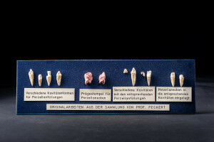 Neue zahnmedizinische Schausammlung in T�bingen