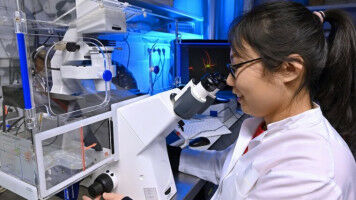 Neuvernetzung nach Schlaganfall