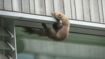 'Offener H�rsaal' im Wintersemester 2025/2026