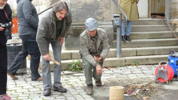 Parasit manipuliert Algenstoffwechsel für eigene Ausbreitung