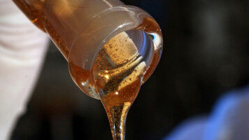 Pilz produziert hochwirksames Tensid