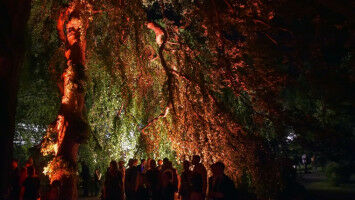 Plant diversity increases insect diversity