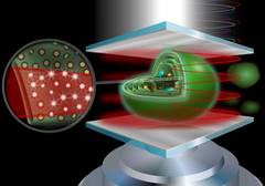 Abbildung: Meixner / Universit�t T�bingen