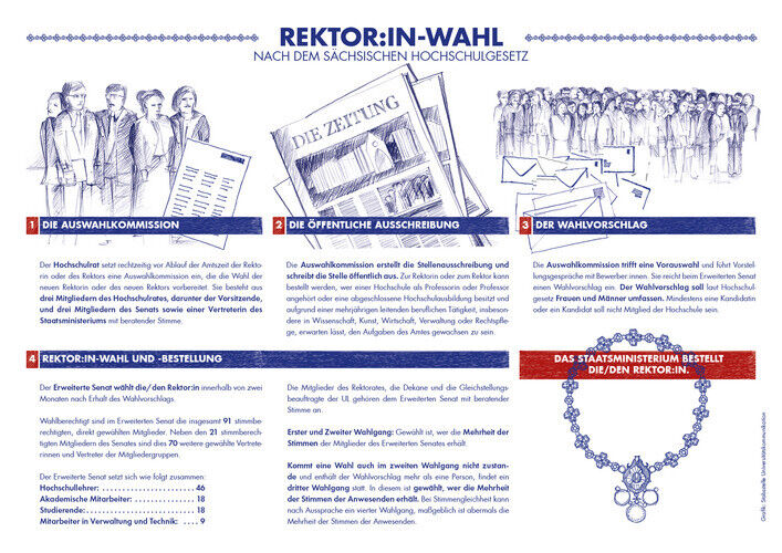 So läuft der Prozess von der Bildung der Auswahlkommission bis zur Rektor:in-Bes
