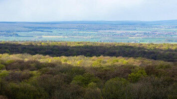 Environment - Roadmap for Europe s biodiversity monitoring system - UNI-JENA Roadmap for Europe s biodiversity monitoring system