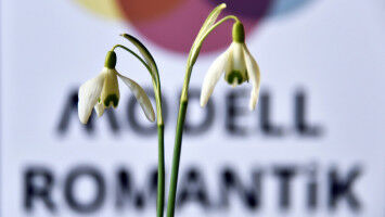 Romanticism as distinctive global phenomenon