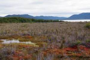 Selbst Bakterien vermeiden den Aussto� des Treibhausgases Methan