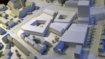 Sex oder Essen? Entscheidungsfindung bei Einzellern