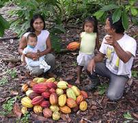 Kakaobauernfamilie mit ihrer Ernte in Ecuador. Kakao ist �berwiegend ein Kleinba