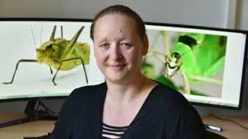 Studieninfos für Kurzentschlossene