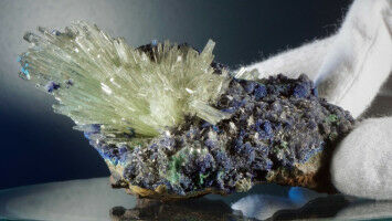 Synapsen unter Friendly Fire