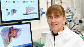 Systemchirurgie f�r die Leber